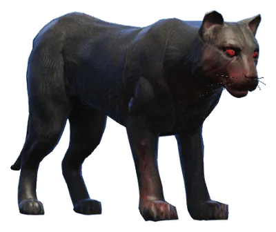 a_c_mtlion_02