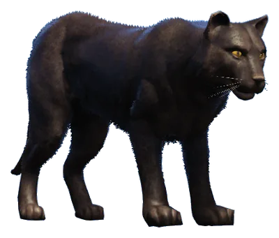 a_c_panther