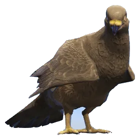 a_c_pigeon