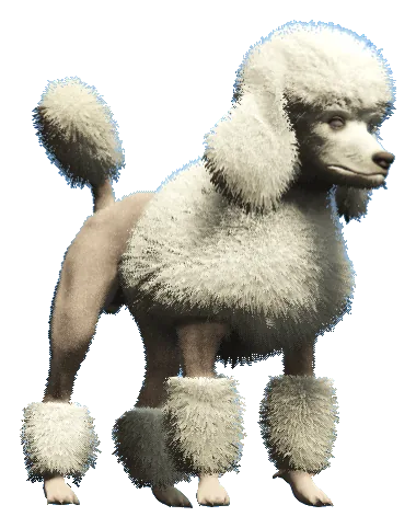 a_c_poodle