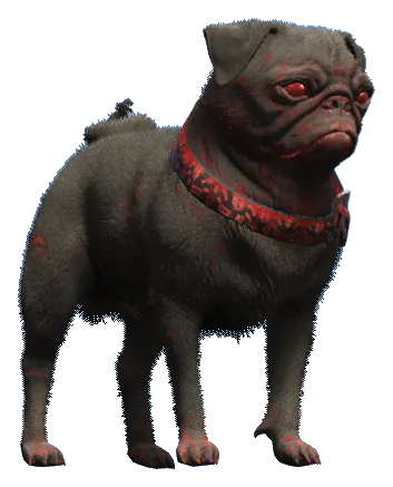 a_c_pug_02
