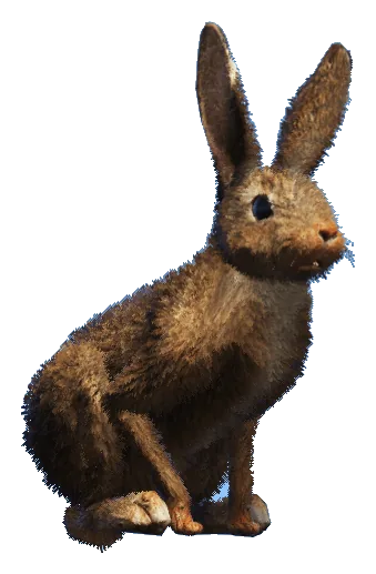 a_c_rabbit_01