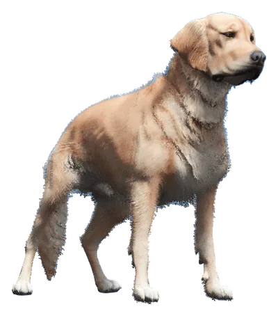 a_c_retriever