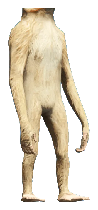 a_c_rhesus