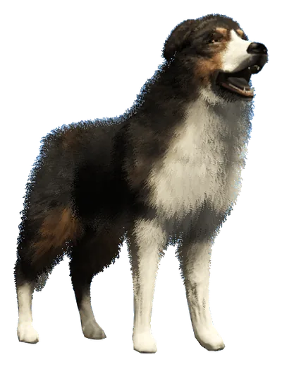 a_c_shepherd