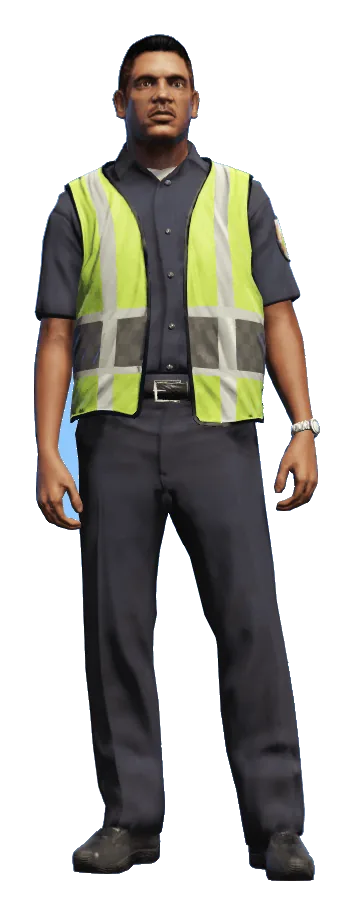 Traffic Warden