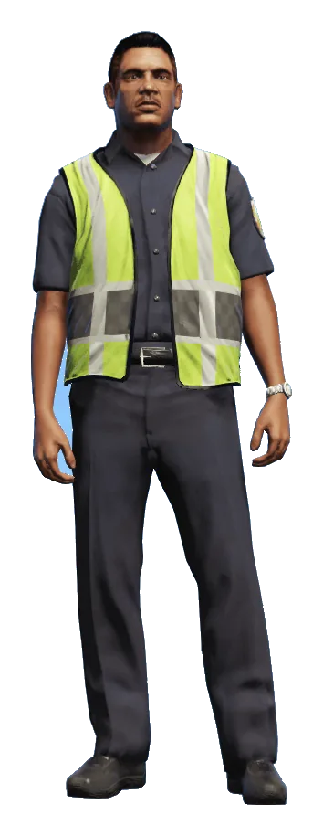 Traffic Warden