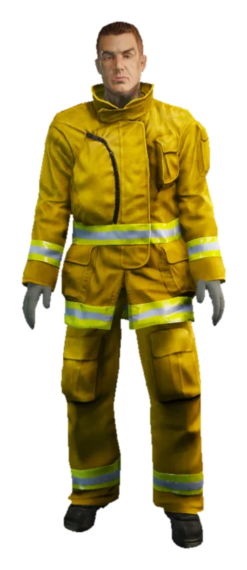 LSFD