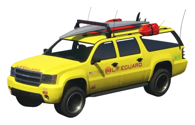 Declasse Lifeguard