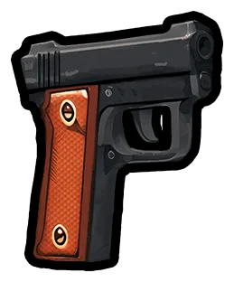 SNS Pistol